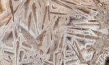Moroccan Stick Agate Slab 289