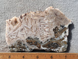 Moroccan Stick Agate Slab 289