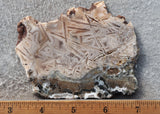 Moroccan Stick Agate Slab 290