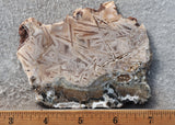 Moroccan Stick Agate Slab 290