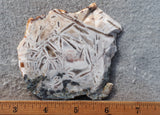 Moroccan Stick Agate Slab 294
