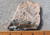 Moroccan Stick Agate Slab 291