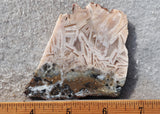 Moroccan Stick Agate Slab 291