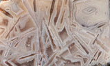 Moroccan Stick Agate Slab 285