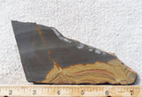 Shadow Mountain Jasper Slab 80