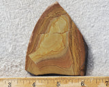Shadow Mountain Jasper Slab 87