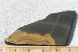 Shadow Mountain Jasper Slab 81