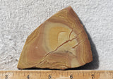 Shadow Mountain Jasper Slab 86
