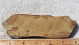 Shadow Mountain Jasper Slab 82