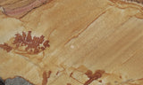 Shadow Mountain Jasper Slab 82