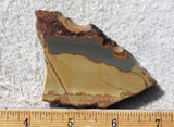 Shadow Mountain Jasper Slab 97