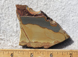 Shadow Mountain Jasper Slab 97