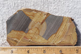 Shadow Mountain Jasper Slab 74