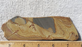 Shadow Mountain Jasper Slab 76