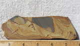 Shadow Mountain Jasper Slab 76