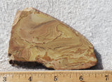 Shadow Mountain Jasper Slab 92