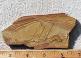 Shadow Mountain Jasper Slab 79
