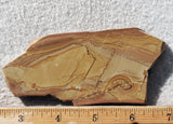 Shadow Mountain Jasper Slab 79