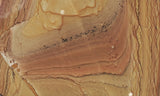 Shadow Mountain Jasper Slab 85