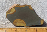 Shadow Mountain Jasper Slab 84
