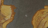 Shadow Mountain Jasper Slab 84