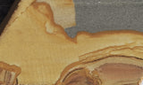 Bargain Bin E Slab 253
