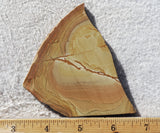 Shadow Mountain Jasper Slab 91