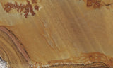 Shadow Mountain Jasper Slab 83