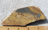 Shadow Mountain Jasper Slab 78