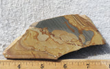 Shadow Mountain Jasper Slab 78