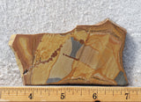 Shadow Mountain Jasper Slab 88