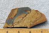 Shadow Mountain Jasper Slab 77