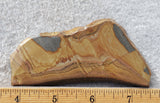 Shadow Mountain Jasper Slab 89