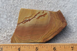 Shadow Mountain Jasper Slab 94