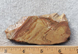 Shadow Mountain Jasper Slab 99