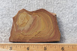 Shadow Mountain Jasper Slab 93