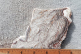 Benito Juarez Slab 95
