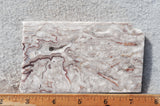 Benito Juarez Slab 85