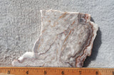 Benito Juarez Slab 94