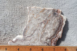 Benito Juarez Slab 94