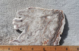 Benito Juarez Slab 88
