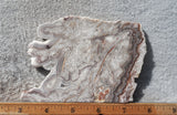 Benito Juarez Slab 88