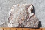 Benito Juarez Slab 74