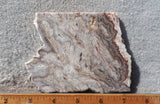 Benito Juarez Slab 93