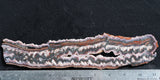 Cady Mountain Rock Slab 171