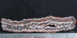 Cady Mountain Rock Slab 171