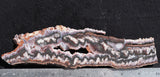 Cady Mountain Rock Slab 174
