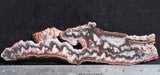 Cady Mountain Rock Slab 173