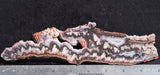 Cady Mountain Rock Slab 173