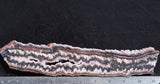 Cady Mountain Rock Slab 172